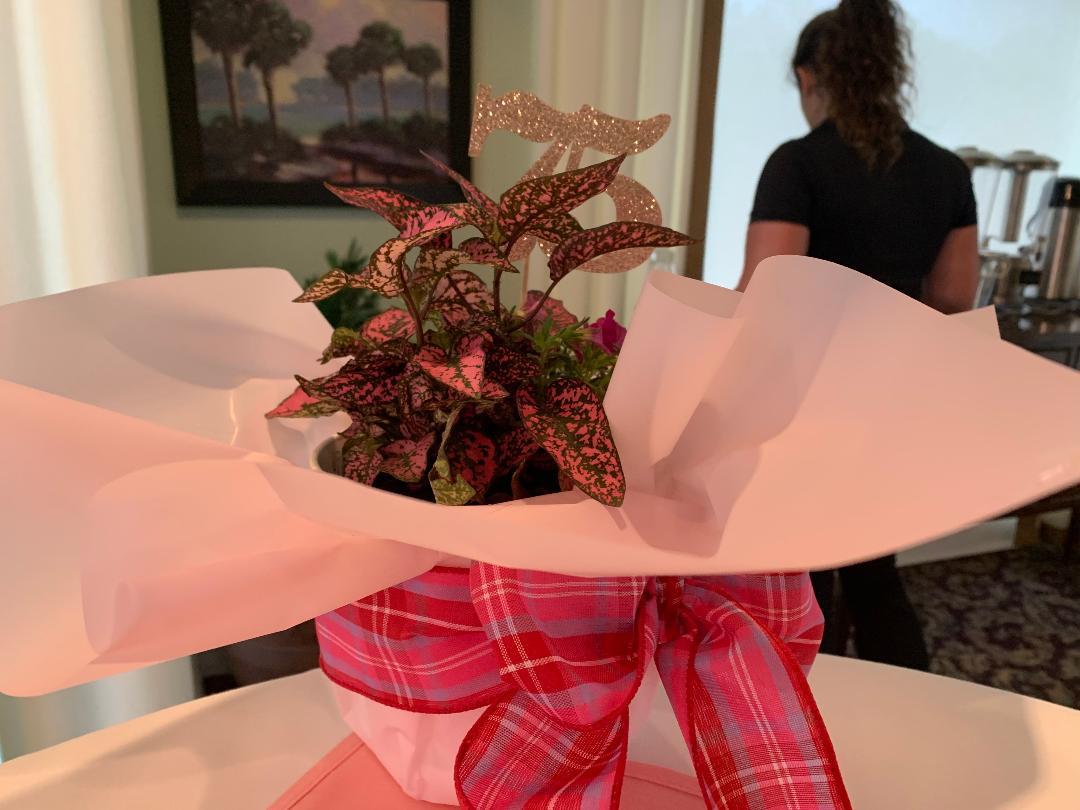 Special door prizes at our pretty, pink and feminine lunch.  White-netted cups were the winners. 